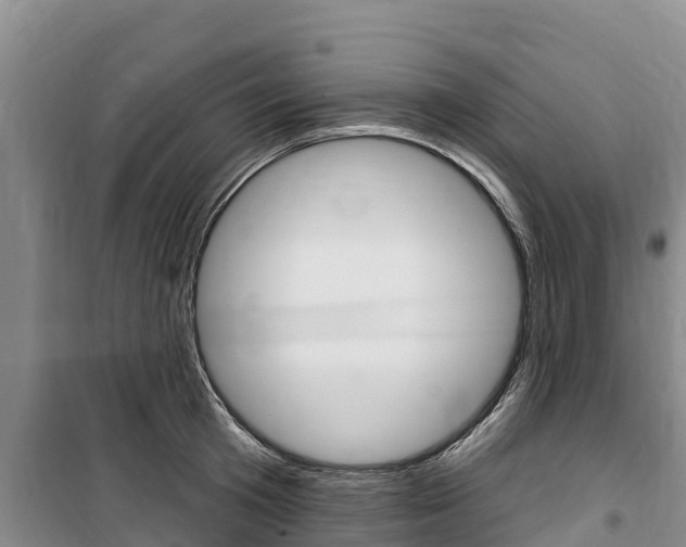 X0000100360801200806060822