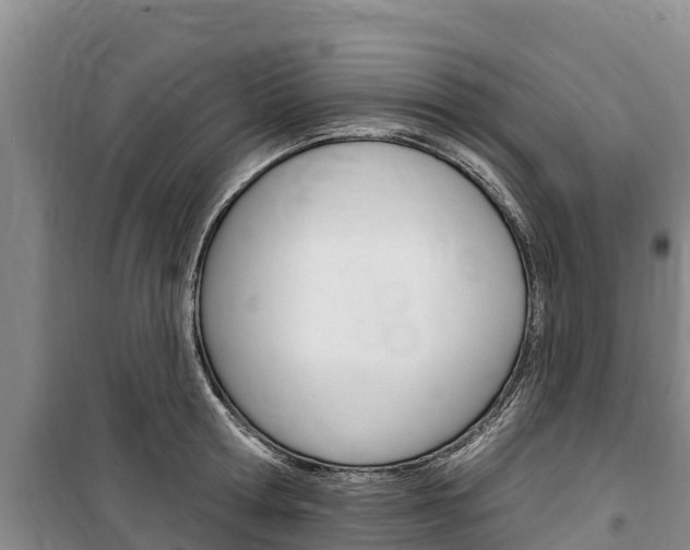 X0000100360802200806060822