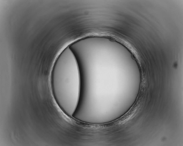 X0000100360803200806060822