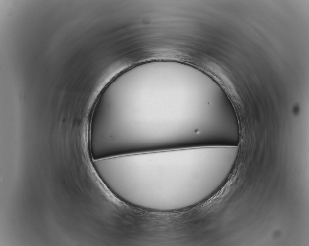 X0000100360804200806060822