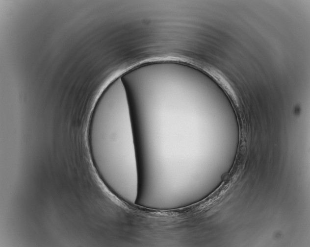 X0000100360805200806060822
