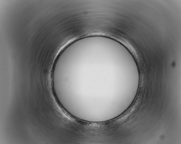 X0000100360806200806060822