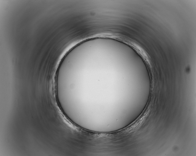 X0000100360808200806060821