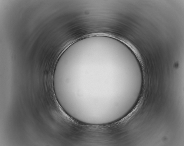 X0000100360809200806060821