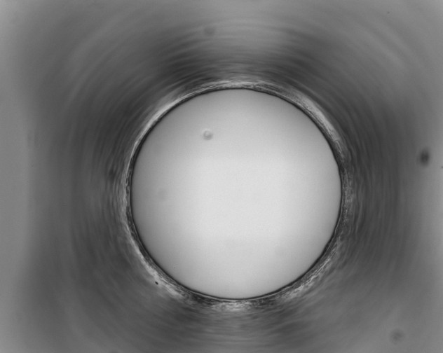X0000100360810200806060821