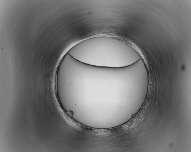 X0000100360811200806060821