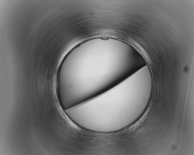 X0000100360812200806060821