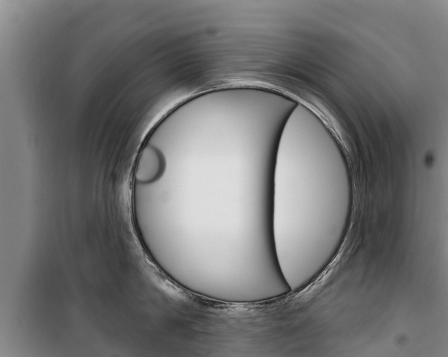 X0000100360814200806060821