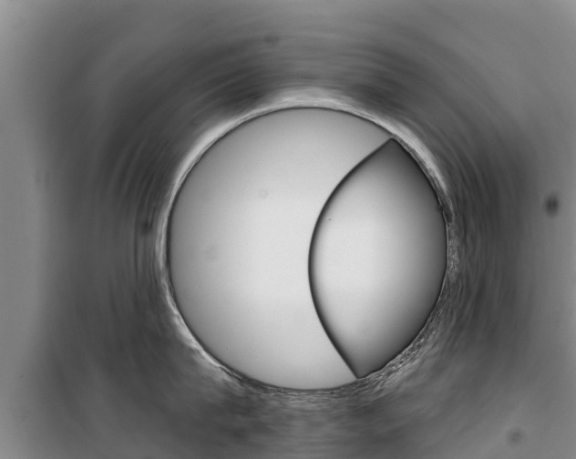 X0000100360815200806060821