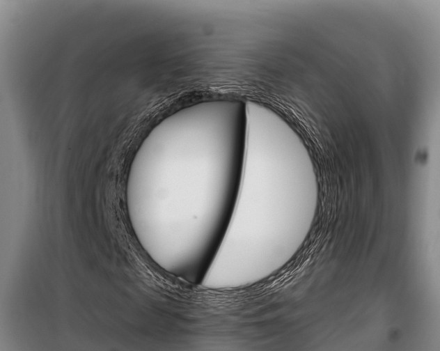 X0000100360817200806060821