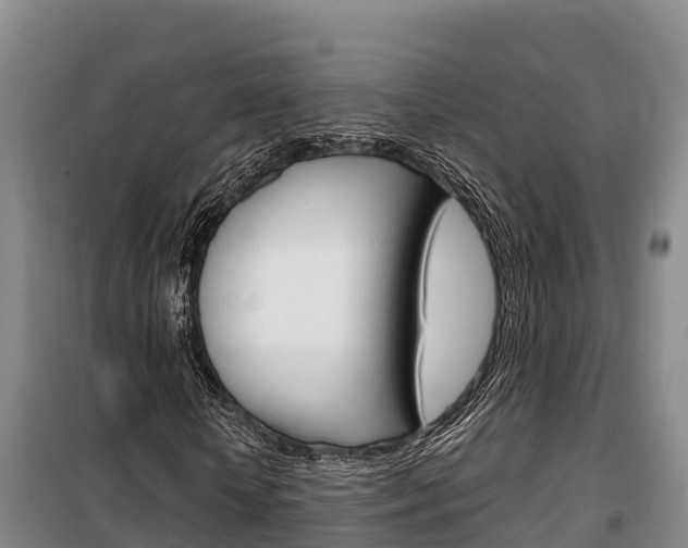 X0000100360818200806060821