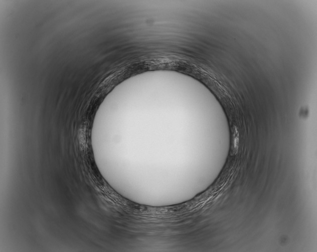 X0000100360819200806060821