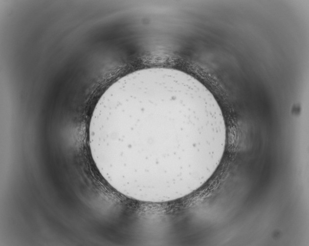 X0000100360820200806060821