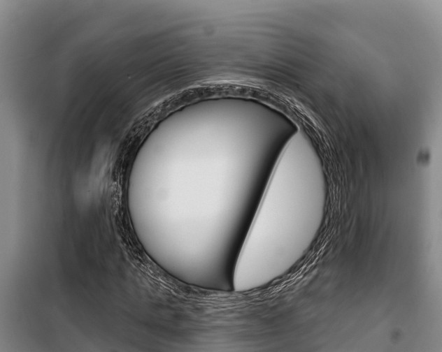 X0000100360821200806060821