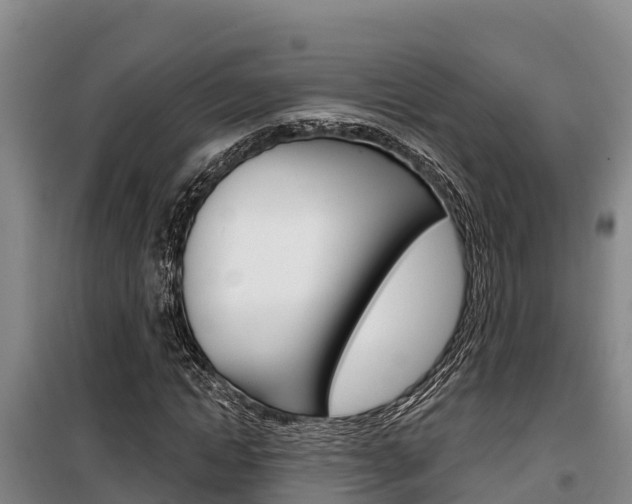 X0000100360822200806060821