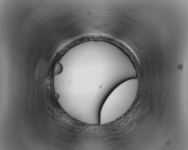 X0000100360823200806060821