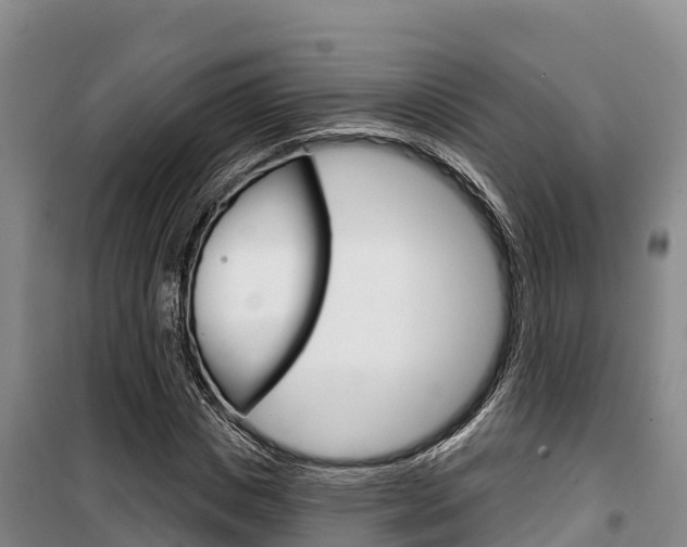 X0000100360825200806060821