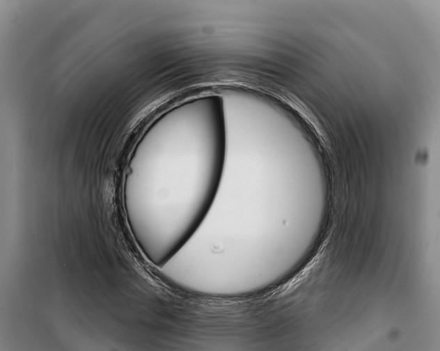 X0000100360826200806060821