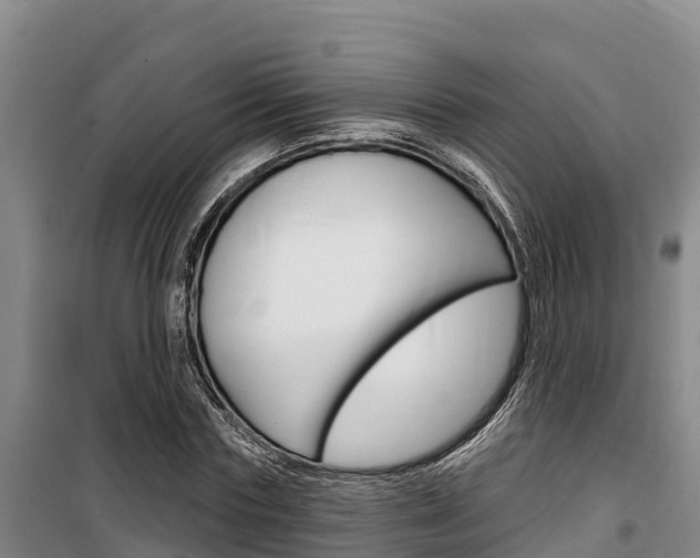 X0000100360827200806060821