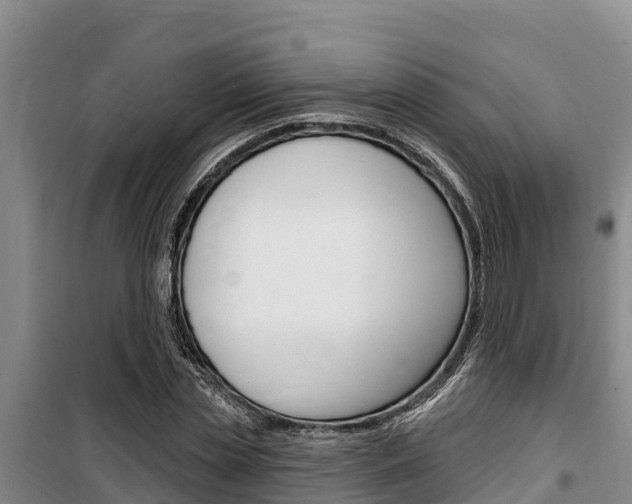X0000100360829200806060821