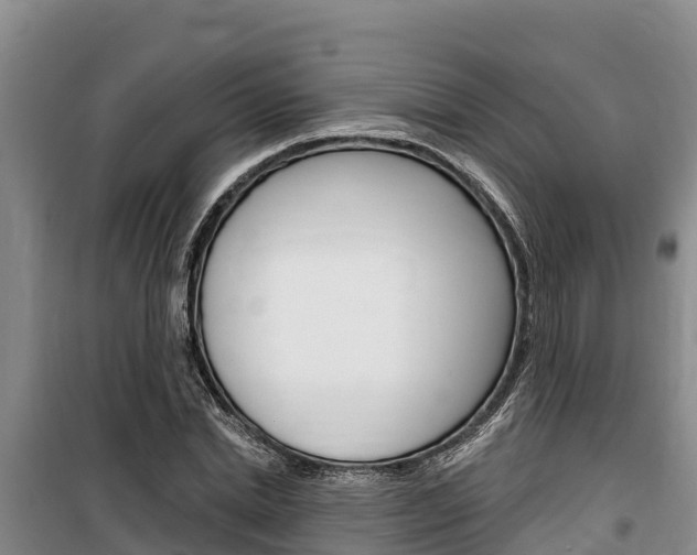 X0000100360830200806060821
