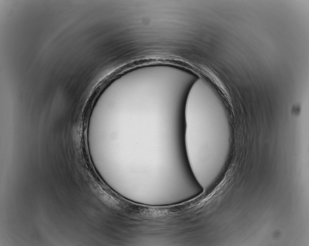 X0000100360831200806060821