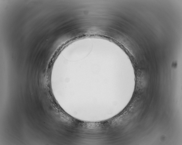 X0000100360832200806060821