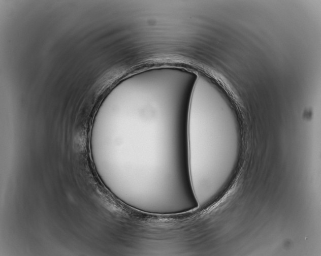 X0000100360833200806060821