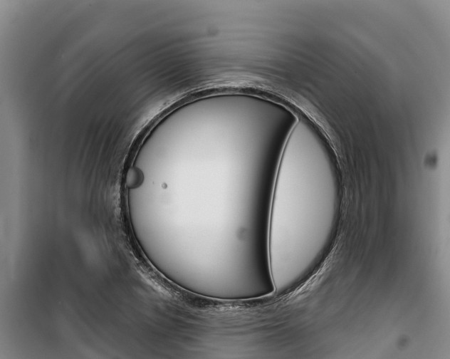 X0000100360834200806060821