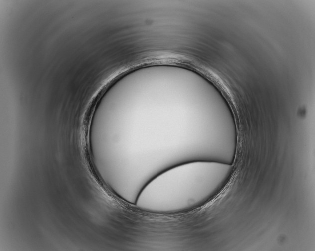 X0000100360835200806060821