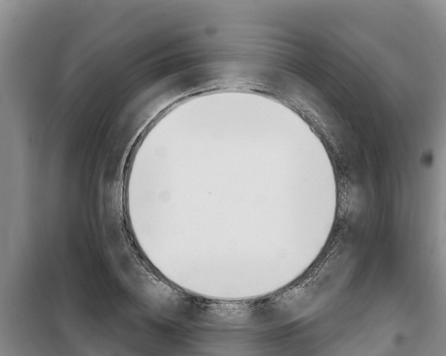 X0000100360836200806060821
