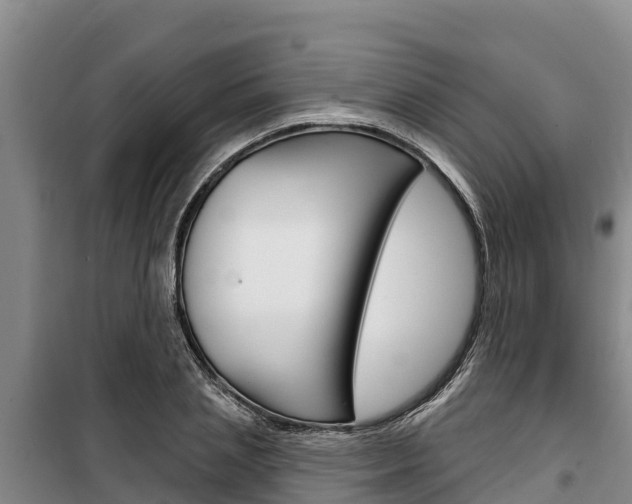 X0000100360837200806060821