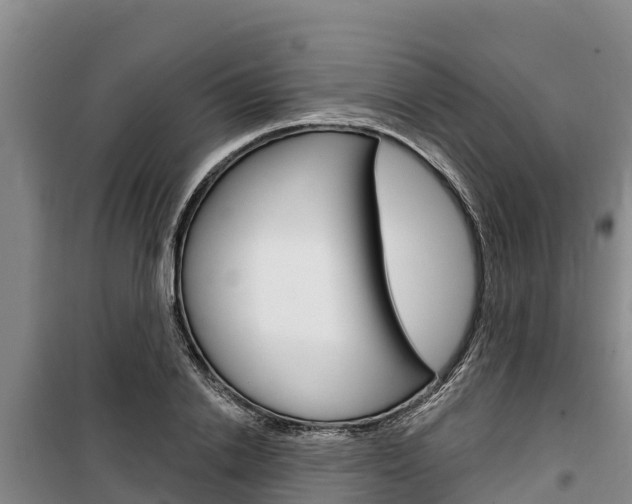X0000100360838200806060821