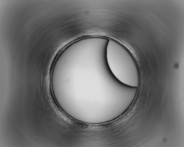 X0000100360840200806060821