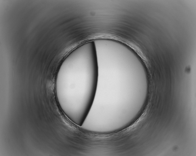 X0000100360841200806060821