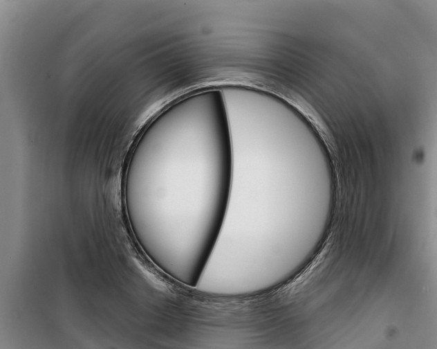 X0000100360842200806060821