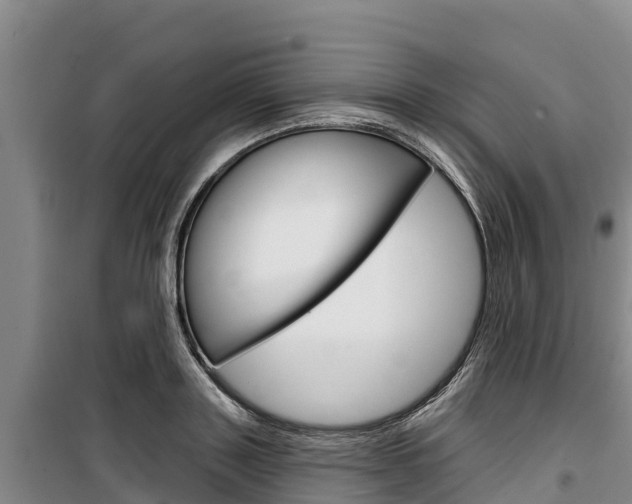 X0000100360843200806060821