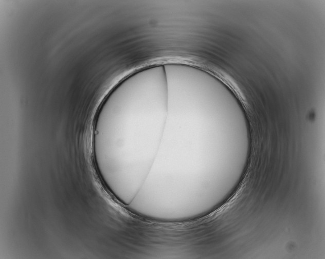 X0000100360844200806060821