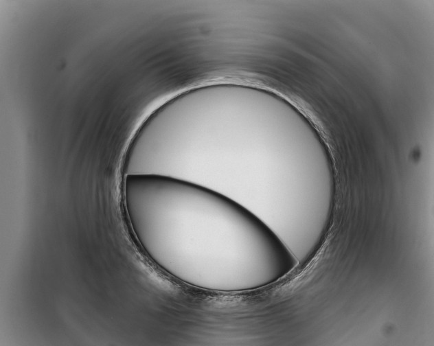 X0000100360846200806060821