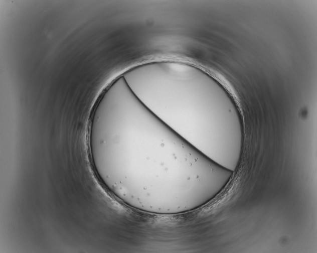 X0000100360847200806060821