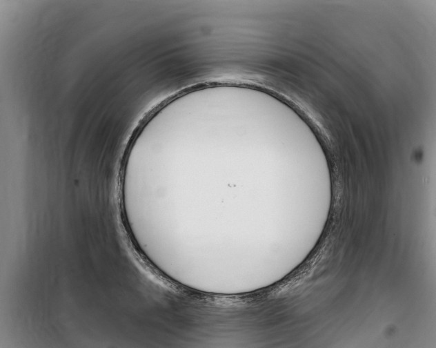X0000100360848200806060821