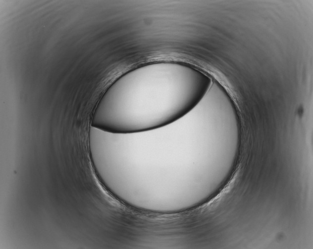 X0000100360849200806060821