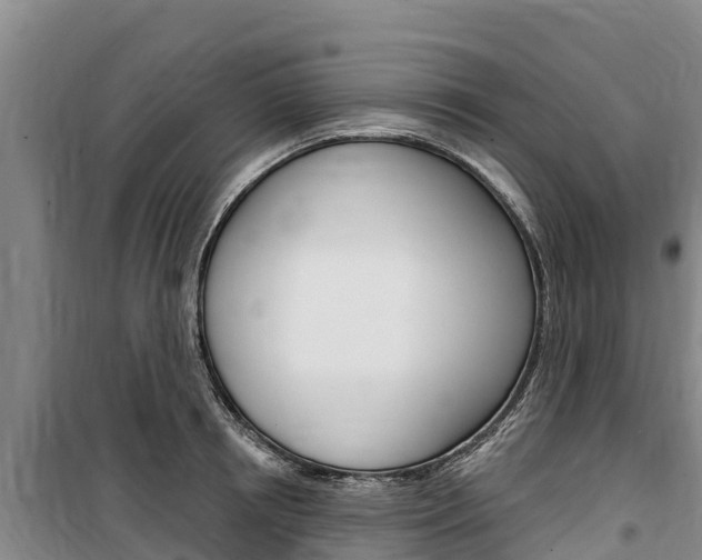 X0000100360850200806060821