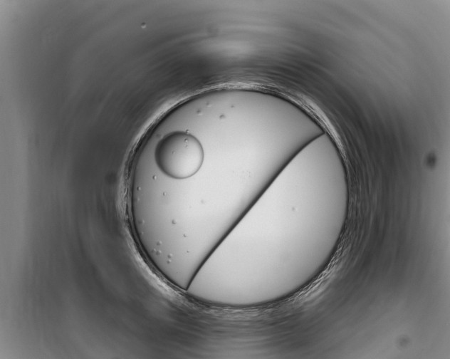 X0000100360851200806060821