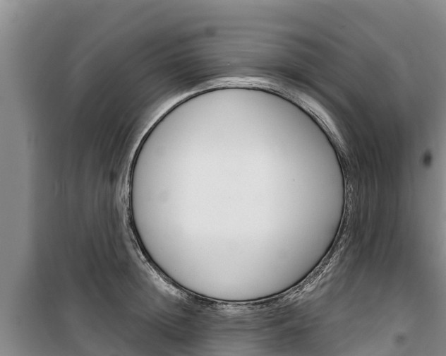 X0000100360852200806060821