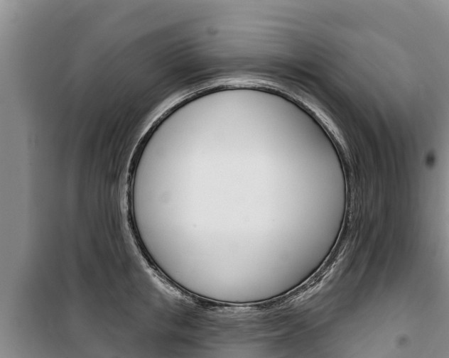 X0000100360853200806060821
