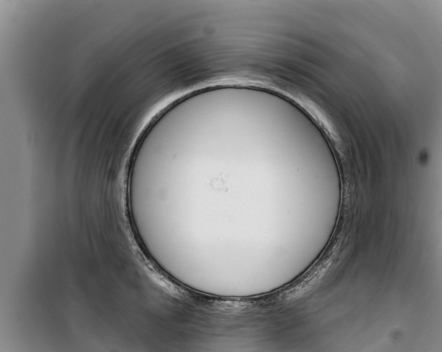 X0000100360854200806060821