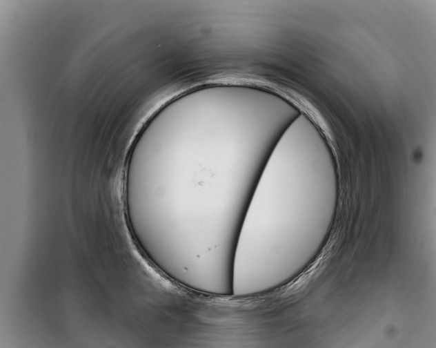 X0000100360855200806060821