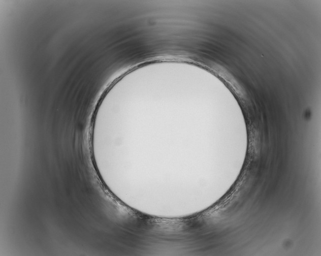 X0000100360856200806060821