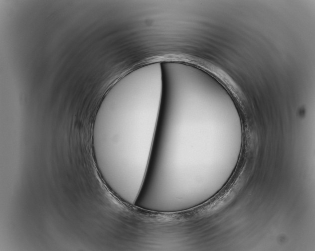 X0000100360857200806060821